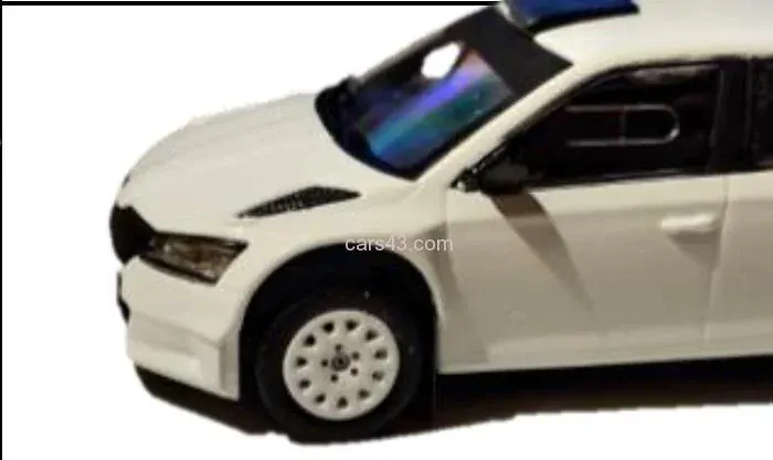 3D disk Fabia R5 Snow